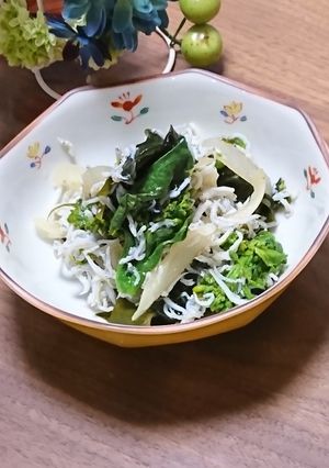 釜揚げしらすで栄養たっぷり春の旬サラダ♪-レシピのメイン写真