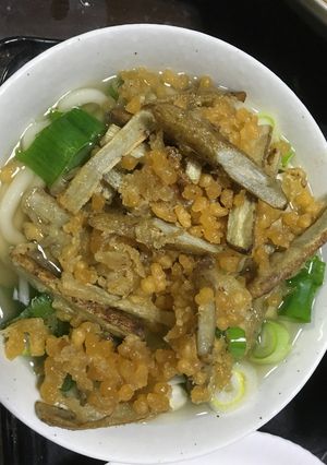 ごぼう天ぷらうどん-レシピのメイン写真