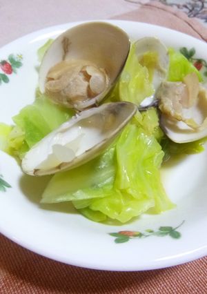 キャベツとハマグリの蒸し煮-レシピのメイン写真
