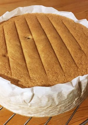 ふんわり☆スポンジケーキ-レシピのメイン写真