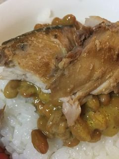 納豆とぶりの照り焼きのご飯-レシピのメイン写真