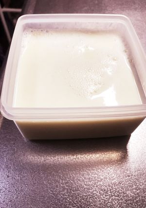 豆乳ミルクゼリー-レシピのメイン写真