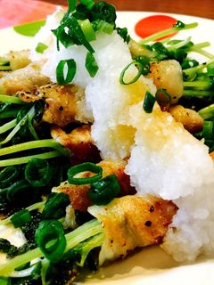 豆苗の肉巻きのポン酢みぞれがけ-レシピのメイン写真