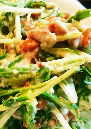 簡単水菜と納豆の白和えサラダ-レシピのメイン写真