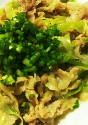 豚肉ネギ炒め-レシピのメイン写真