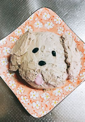 ワンちゃん チョコムースケーキ-レシピのメイン写真