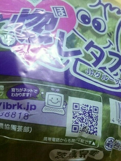 簡単レタスの保存方-レシピのメイン写真