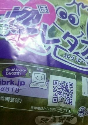 簡単レタスの保存方-レシピのメイン写真