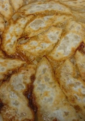野菜嫌いもパクパク♥ビニール袋♥簡単餃子-レシピのメイン写真
