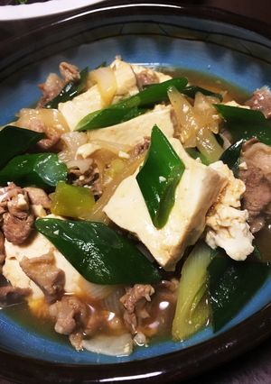 たっぷりネギの肉豆腐-レシピのメイン写真