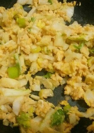 白菜と長ネギの卵炒め-レシピのメイン写真