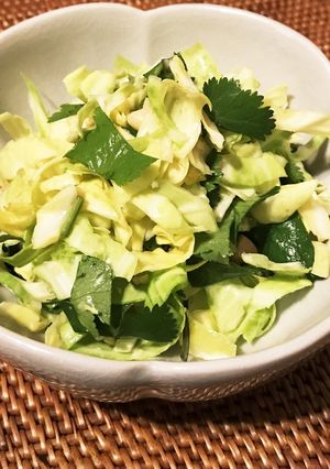 パクチーとキャベツの和え物-レシピのメイン写真