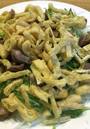 砂ぎもと大根、水菜のサラダ-レシピのメイン写真