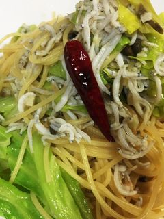 春キャベツとしらすのスパゲッティ-レシピのメイン写真
