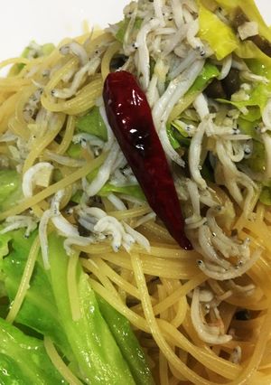 春キャベツとしらすのスパゲッティ-レシピのメイン写真