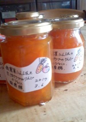 ニンジンとリンゴのジャム-レシピのメイン写真