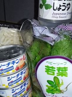 ガストのサラダうどん-レシピのメイン写真
