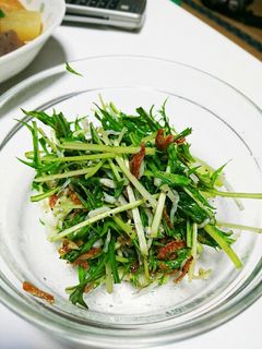 水菜としらすのサラダ-レシピのメイン写真