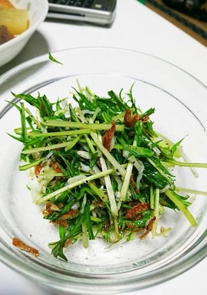 水菜としらすのサラダ-レシピのメイン写真