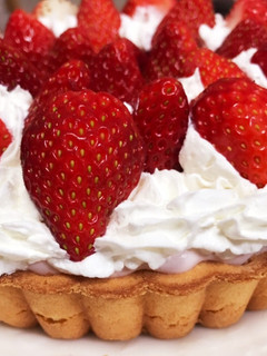 いちごムースタルト♡♡-レシピのメイン写真