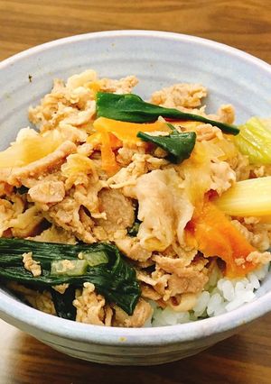 5分でできる豚丼-レシピのメイン写真