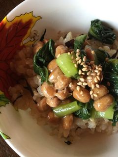 納豆とチンゲンサイのご飯-レシピのメイン写真