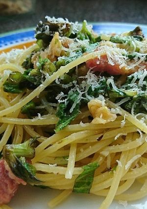 ふきのとうのパスタ-レシピのメイン写真