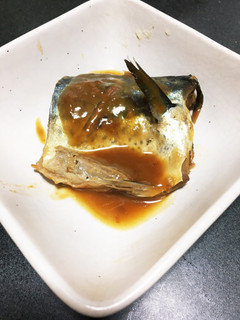 鯖の味噌煮-レシピのメイン写真