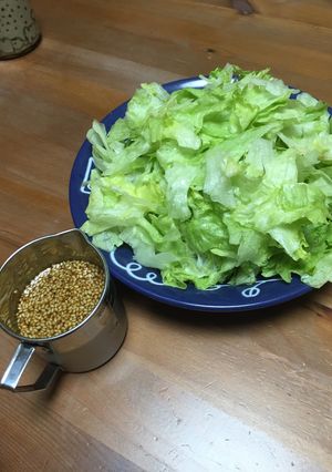 激ウマ☆簡単ドレッシング-レシピのメイン写真