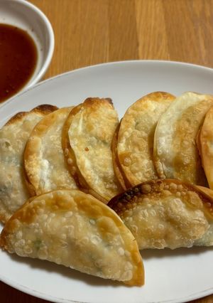 肉無し！豆腐とネギの揚げ焼き餃子！-レシピのメイン写真