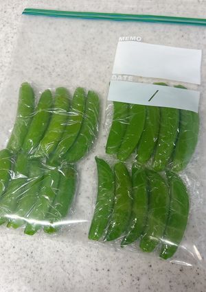スナップエンドウの筋取りと冷凍保存-レシピのメイン写真