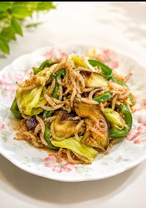 ！しらすの夏野菜炒め！-レシピのメイン写真