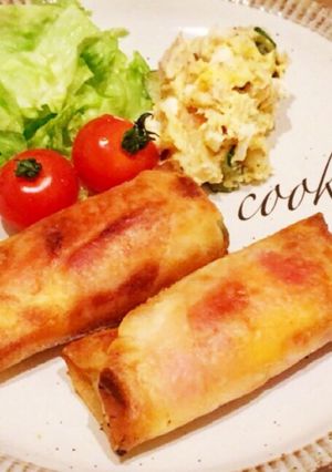 アスパラベーコンチーズ春巻き-レシピのメイン写真