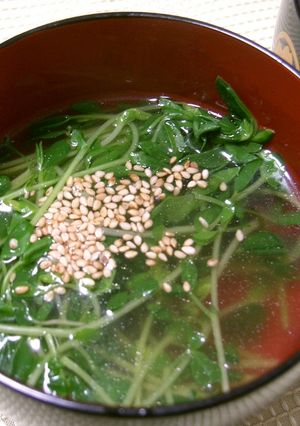 豆苗のスープ-レシピのメイン写真