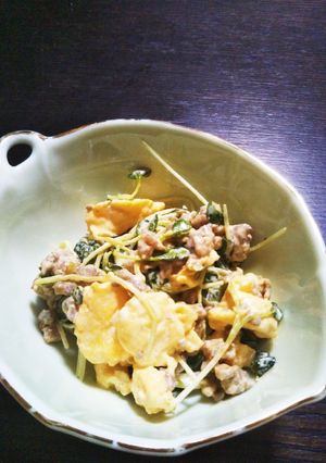 カイワレ大根と豚ひき肉のサラダ-レシピのメイン写真