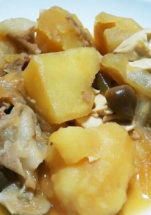 sekichin家の豆腐入り肉じゃが-レシピのメイン写真