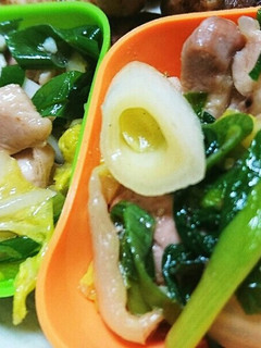 ご飯のお供!鶏肉とねぎのニンニク炒め♪-レシピのメイン写真