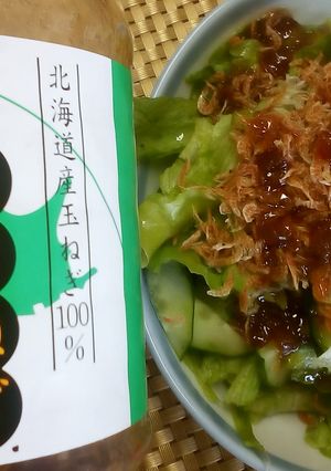 レタスと胡瓜の玉ねぎサラダ-レシピのメイン写真