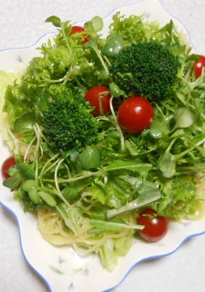 簡単ラーメンサラダ-レシピのメイン写真