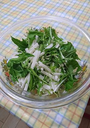 簡単水菜と長芋のサラダ-レシピのメイン写真
