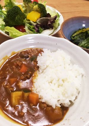 子供大好き！豚ひきと角切り野菜のカレー☆-レシピのメイン写真