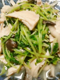 野菜☆豆苗のマヨネーズ炒め-レシピのメイン写真