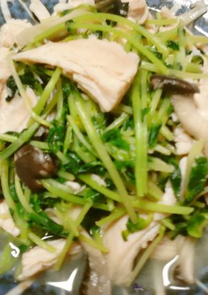 野菜☆豆苗のマヨネーズ炒め-レシピのメイン写真