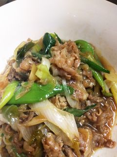 牛肉と長ネギ炒め(味はすき焼き風)-レシピのメイン写真