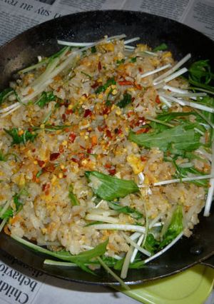 鉄パンで水菜とあみえびのパラパラ炒飯-レシピのメイン写真