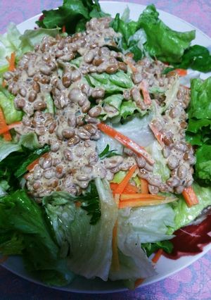 野菜と納豆の健康サラダ-レシピのメイン写真