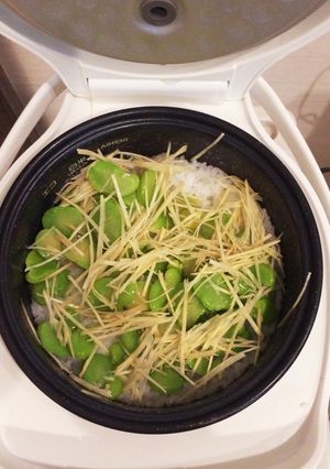 空豆と生姜の混ぜご飯-レシピのメイン写真