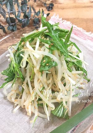 簡単！水菜ともやしのシャキシャキサラダ-レシピのメイン写真