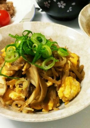 簡単ササッと！もやしと舞茸のポン酢炒め-レシピのメイン写真