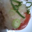 すいません!トマトです